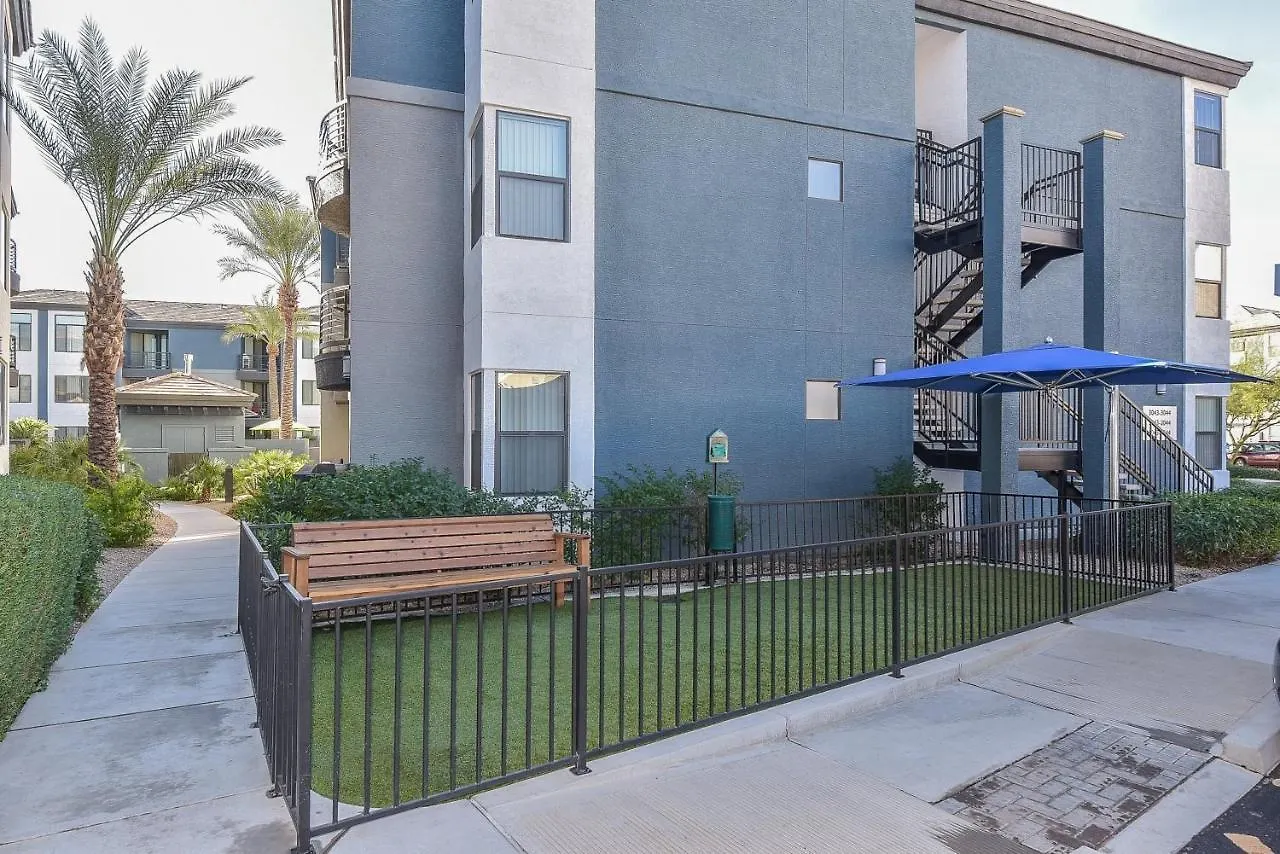 Ascent North Scottsdale Pool Gym Apartments Near Mayo And Scottsdale Quarter United States